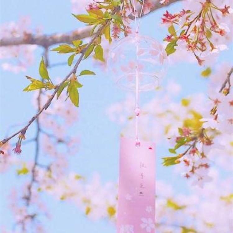 上海（雪代缘所在的黑帮基地） - 音乐MV高清在线观看 - 电脑直播